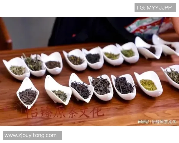 茶叶的历史传承与文化魅力探索：从古至今的茶叶发展与品鉴艺术